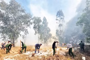 Tỉnh Quảng Trị hiện có khoảng 250.000ha rừng có nguy cơ cháy cao, tập trung chủ yếu ở vùng cát ven biển.
