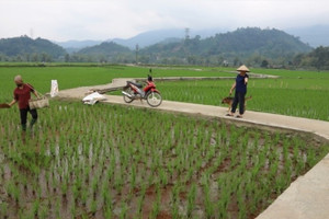 Nét mới trên đường nông thôn mới