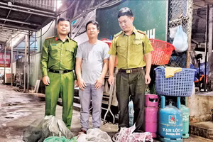 Lực lượng chức năng kiểm tra, phát hiện hàng trăm cá thể chim hoang dã tại một nhà hàng ở tỉnh Ninh Bình. (Ảnh: C05)