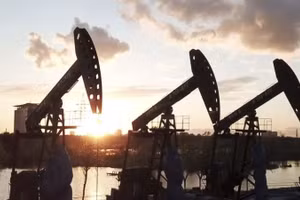 Ảnh minh họa. (Ảnh: THX/TTXVN)