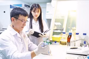 Tiến sĩ Lê Văn Nhân hướng dẫn đồng nghiệp kiểm tra các hợp chất trong cao chiết lá cây mật gấu (Ảnh: MINH ĐỨC)