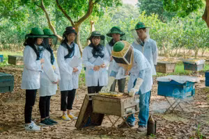 Mô hình nuôi ong tại Trung tâm Nghiên cứu Ong và Nuôi ong nhiệt đới. (Ảnh: Học viện Nông nghiệp Việt Nam). 