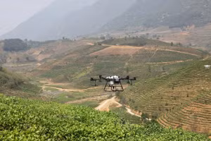 Sử dụng thiết bị bay không người lái (drone) trong sản xuất nông nghiệp trên địa bàn tỉnh Lai Châu. (Ảnh: MINH ANH)