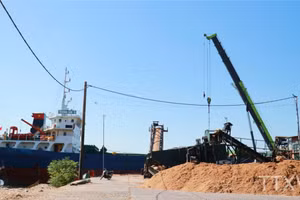Sản phẩm dăm gỗ của Công ty Tiến Phong, xã Cửa Việt, tỉnh Quảng Trị được chuyển lên tàu để xuất khẩu. (Ảnh: TTXVN)