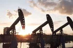 (Ảnh minh họa: THX/TTXVN)