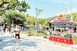 Rộn ràng không khí ngày hội non sông trên xã đảo Tân Hiệp, thành phố Đà Nẵng.