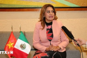 Hạ nghị sĩ Ana Karina Rojo Pimentel, Chủ tịch Ủy ban Phúc lợi Hạ viện đồng thời là Chủ tịch Nhóm Nghị sĩ Hữu nghị Mexico-Việt Nam trả lời phóng viên TTXVN tại địa bàn. (Ảnh tư liệu: Phi Hùng/TTXVN)