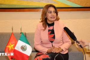 Hạ nghị sĩ Ana Karina Rojo Pimentel, Chủ tịch Ủy ban Phúc lợi Hạ viện đồng thời là Chủ tịch Nhóm Nghị sĩ Hữu nghị Mexico-Việt Nam trả lời phóng viên TTXVN tại địa bàn. (Ảnh tư liệu: Phi Hùng/TTXVN)