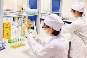 Kiểm nghiệm chất lượng hoạt chất sản xuất thuốc tại Viện Kiểm nghiệm thuốc Trung ương.