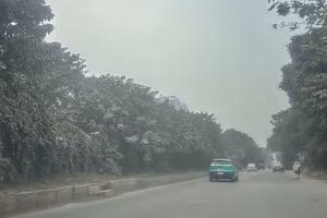 Tuyến đường gom Đại lộ Thăng Long (đoạn qua khu vực gần Thiên Đường Bảo Sơn) chìm trong lớp bụi dày đặc, mịt mù. Cây cối ven đường đổi sang màu trắng đục, phủ đầy lớp bột mịn. (Ảnh: THÙY LINH)
