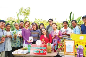 Trái thanh long Lâm Đồng được nâng tầm với quy trình tiêu chuẩn, sản phẩm đa dạng và bao bì hấp dẫn.