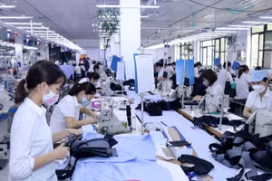 Đóng bảo hiểm xã hội cho người lao động là nghĩa vụ của các đơn vị sử dụng lao động. (Ảnh: MINH DUYÊN)