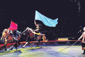 Xiếc ngựa là “đặc sản” nghệ thuật được đông đảo khán giả yêu thích dịp năm mới Bính Ngọ. (Ảnh: LIÊN ĐOÀN XIẾC VIỆT NAM)