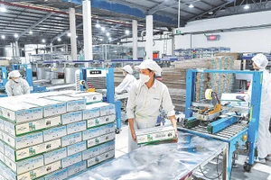 Trong những bước phát triển lớn của nền kinh tế có dấu ấn của nhiều doanh nghiệp tư nhân ở các lĩnh vực. (Ảnh: Thành Đạt)