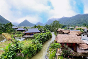 Mùa xanh ở thung lũng Lâm Thượng