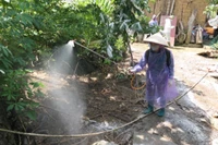 Phun hóa chất khử khuẩn tại vùng có bệnh dịch tả lợn châu Phi tại xã Quản Bạ.