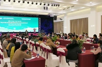 Toàn cảnh lớp tập huấn.