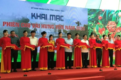 Khai mạc phiên chợ vải Hưng Yên năm 2025.