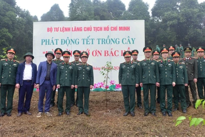 Các đại biểu tại Lễ phát động Tết trồng cây.