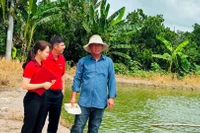 Anh Huỳnh Tấn Đạt, ấp 2T, xã Bình Hàng Trung, tỉnh Đồng Tháp (đầu tiên bên phải) có thu nhập ổn định nhờ vay vốn nuôi cá tra giống. (Ảnh HỮU NGHĨA)