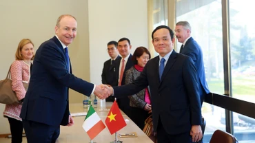 Phó Thủ tướng Trần Lưu Quang và Phó Thủ tướng, Bộ trưởng Ngoại giao và Quốc phòng Cộng hòa Ireland Michéal Martin. (Ảnh: baochinhphu.vn)