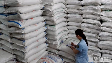Lực lượng quản lý thị trường kiểm tra các lô đường cát tại hiện trường.