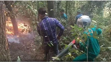 Hiện tại, đang bắt đầu bước vào các đợt cao điểm nắng nóng, tiềm ẩn nguy cơ cháy rừng cao. (Ảnh: Công an Thành phố Hà Nội)
