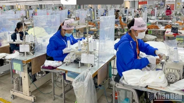 Công nhân khối doanh nghiệp FDI ở Hải Dương có mức thưởng bình quân 5,7 triệu đồng.