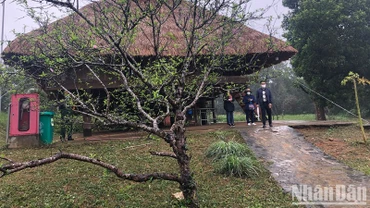 Đón xuân tại Làng Văn hóa - Du lịch các dân tộc Việt Nam.