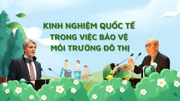 Kinh nghiệm quốc tế trong việc bảo vệ môi trường đô thị
