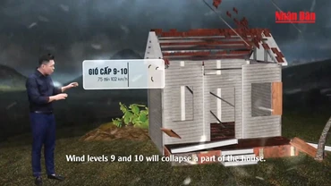 [Video] Hướng dẫn bảo vệ nhà cửa trước bão