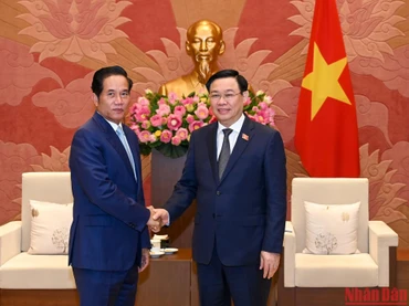 [Ảnh] Chủ tịch Quốc hội tiếp đoàn đại biểu cấp cao Thủ đô Phnôm Pênh