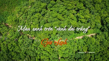 Màu xanh trên “vành đai trắng” Gio Linh
