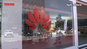 [Video] Bê bối hối lộ tại nghị viện châu Âu liên quan tới Huawei
