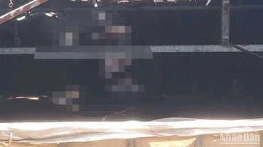 Hiện trường hai nạn nhân tử vong tại trại nuôi vịt thôn 12, xã Nam Dong, huyện Cư Jút, tỉnh Đắk Nông. 