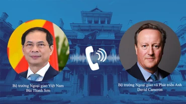Bộ trưởng Ngoại giao Bùi Thanh Sơn điện đàm với Bộ trưởng Ngoại giao và Phát triển Anh David Cameron.