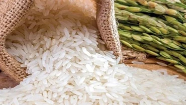 [Infographic] Xuất khẩu gạo Việt Nam qua những con số