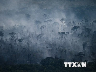 Khói bốc lên từ đám cháy rừng Amazon ở Apui, bang Amazonas, Brazil, ngày 27/7/2022. (Ảnh: AFP/TTXVN)
