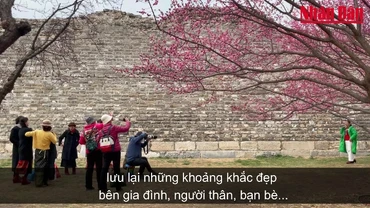 [Video] Người dân Bắc Kinh nô nức du xuân