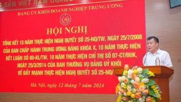 Đồng chí Nguyễn Đức Phong, Phó Bí thư Thường trực Đảng uỷ Khối Doanh nghiệp Trung ương phát biểu kết luận hội nghị