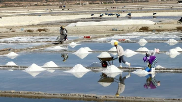 Festival nghề muối Việt Nam - Bạc Liêu năm 2025, “Hành trình 100 năm nghề muối - Đời người”, sẽ diễn ra từ ngày 6 đến 8/3/2025, tại Bạc Liêu. (Ảnh: TTXVN)