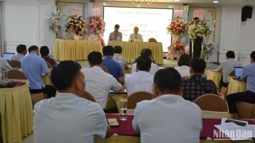 Thành lập Hội quế, hồi Lào Cai 