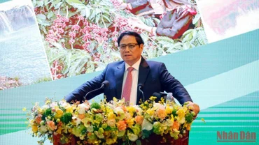 Thủ tướng Phạm Minh Chính phát biểu ý kiến tại hội nghị.