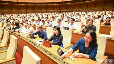 Đại biểu Quốc hội biểu quyết thông qua Luật Đường bộ. (Ảnh: DUY LINH)