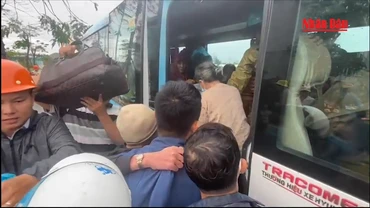 [Video] Hàng nghìn người dân Quảng Ngãi đi trú bão được về nhà