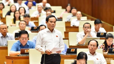 Phó Thủ tướng Chính phủ Trần Lưu Quang phát biểu tại phiên chất vấn sáng 7/6. (Ảnh: THỦY NGUYÊN) 