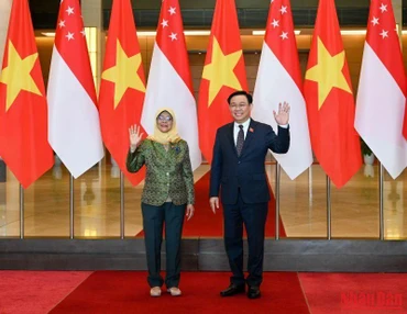 Chủ tịch Quốc hội Vương Đình Huệ và Tổng thống Cộng hòa Singapore Halimah Yacob tại buổi tiếp.