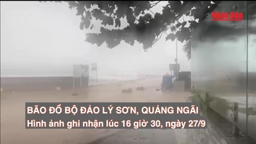 [Video] Bão Noru đổ bộ đảo Lý Sơn