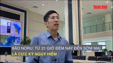 [Video] Bão Noru: Từ 21 giờ đêm nay đến sớm mai là cực kỳ nguy hiểm