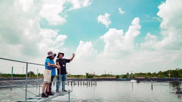 Các chuyên gia thủy sản trao đổi kinh nghiệm tại trang trại nghiên cứu tôm, huyện Cần Giờ, TP Hồ Chí Minh. (Ảnh: THỤC KHUÊ)